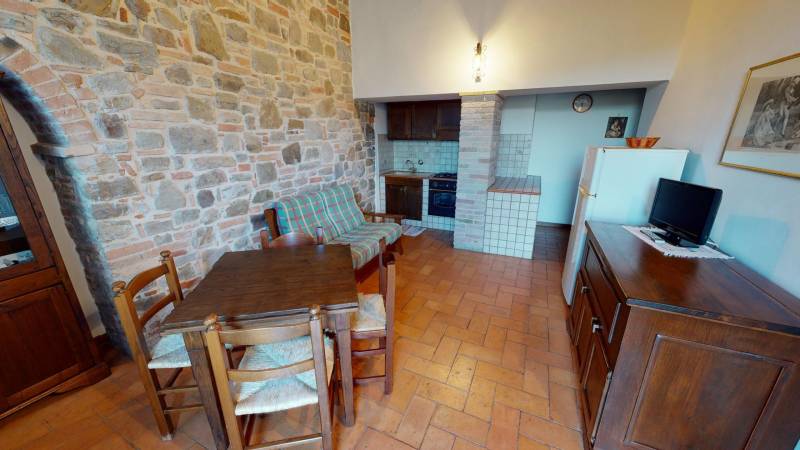 395-olivella-01-985 395-olivella-01-985